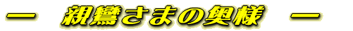\@ea܂̉l@\ 