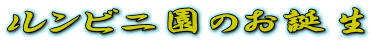 rĵa
